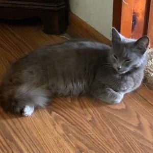 Photo of Meredith