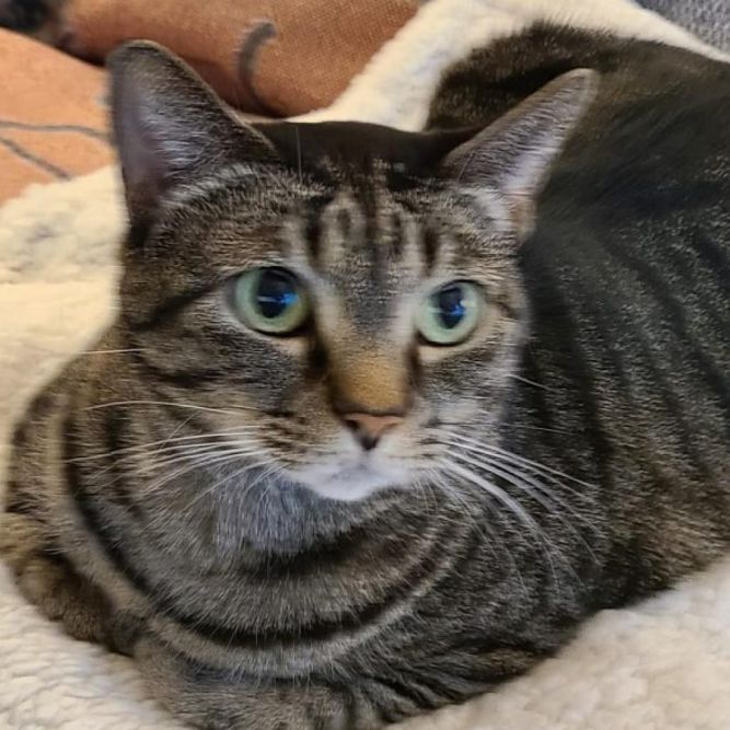 Minnie
