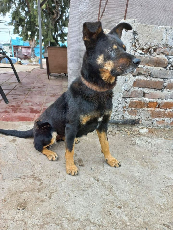 Catalina 3