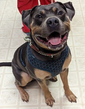 Roscoe