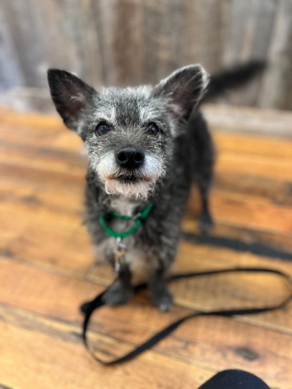 Einstein