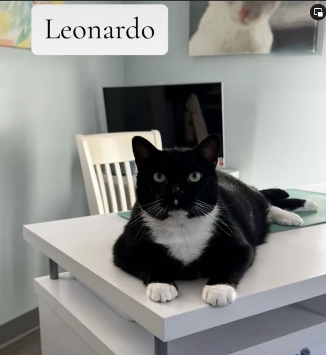 Leonardo