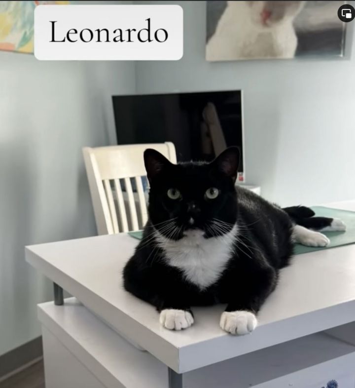 Leonardo 1