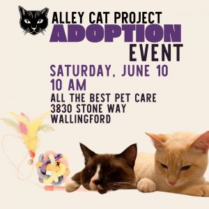 ACP Adoption Event June 10th 