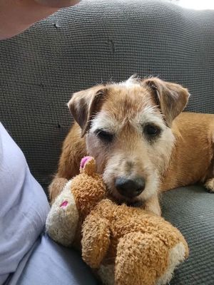 Eddie