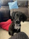Chloe
