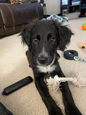 Chloe