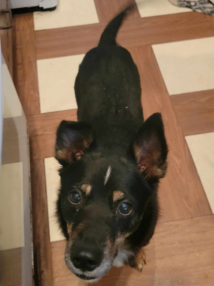 Roscoe 2