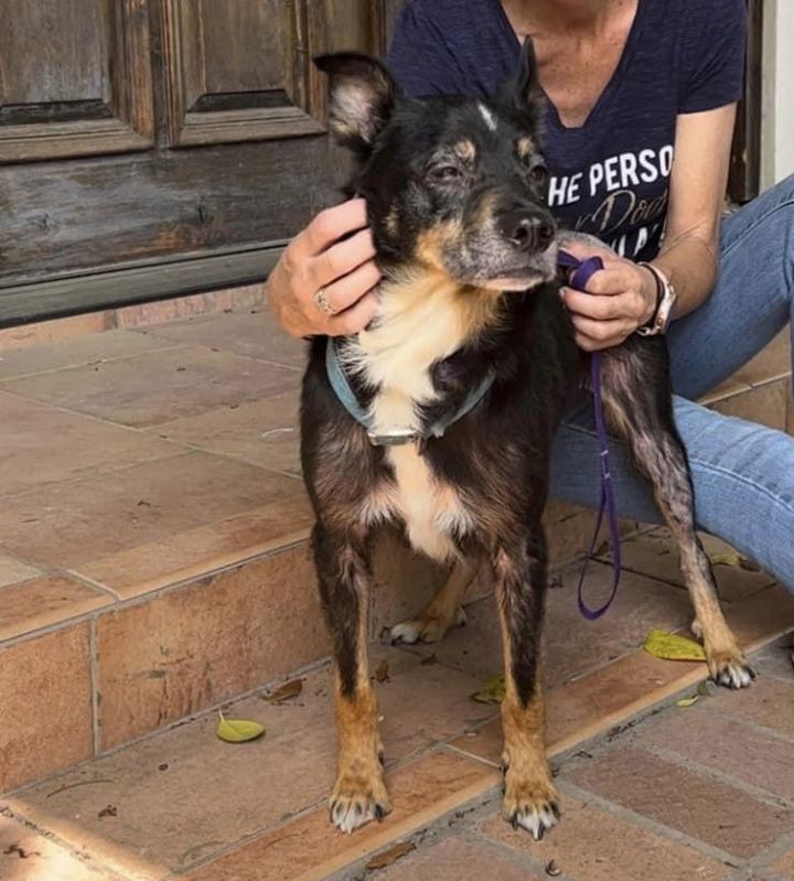 Roscoe 3