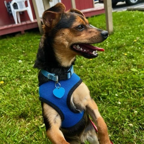 Bruno 3