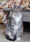 Buster photo 1