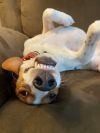 Winston