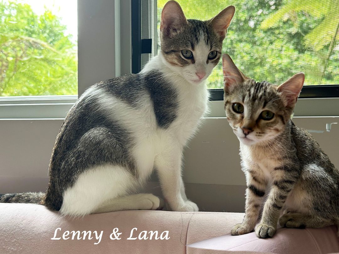 LENNY (& Lana)