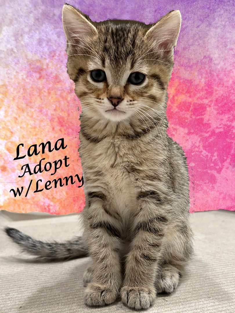 LANA (& Lenny)
