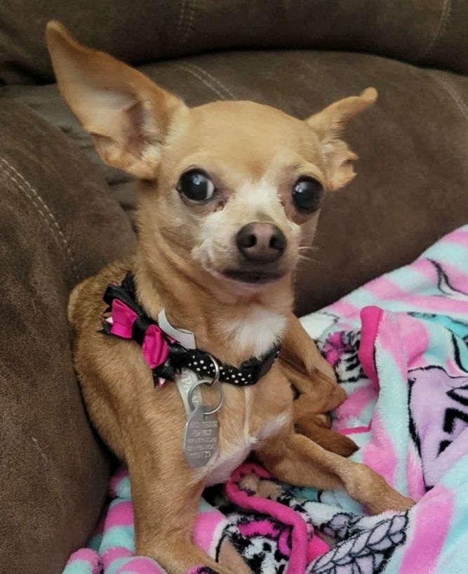 Tiki