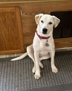 Dolly Marie *HERE IN NH*