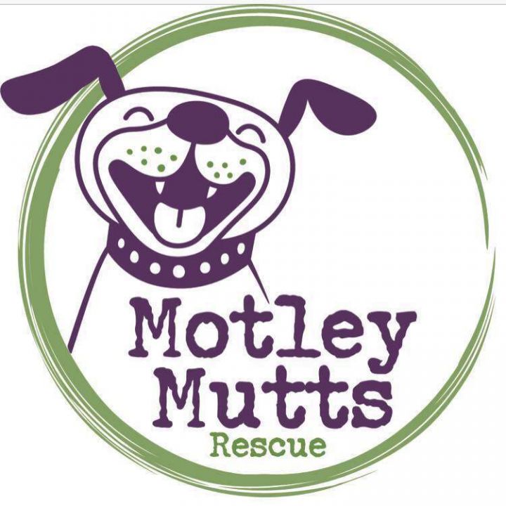 Love mutts best sale rescue petfinder