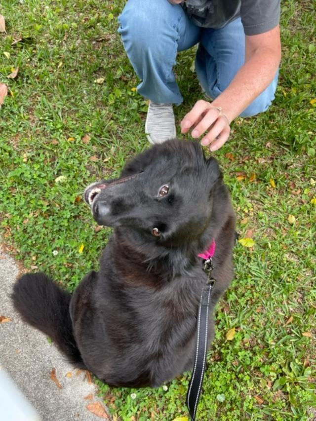 Luna RC is pending adoption! 