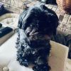 Winnie