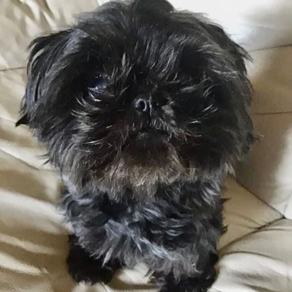 Winnie