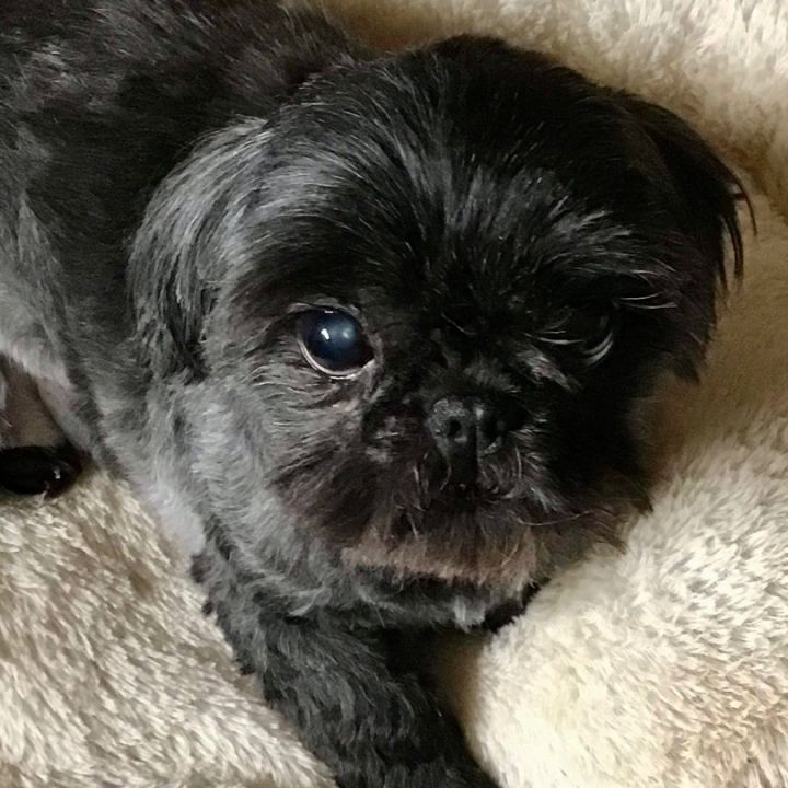 Winnie 5