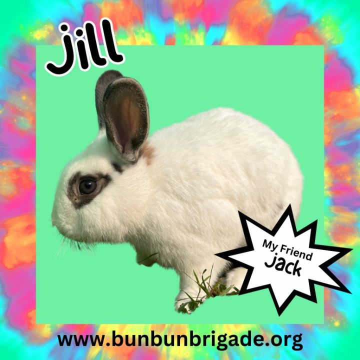 Jill 1