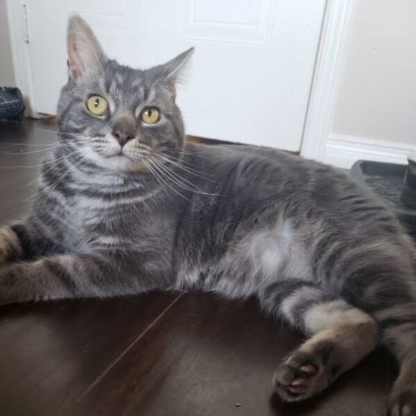 Sam