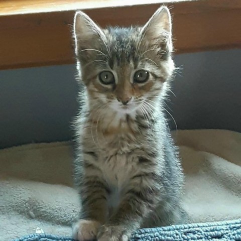 Tiny (FKN Spicy) 2