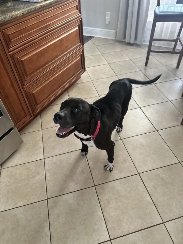 Mary Lou (In Foster) 2