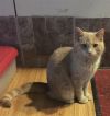 Butters photo 2