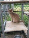 Butters photo 3