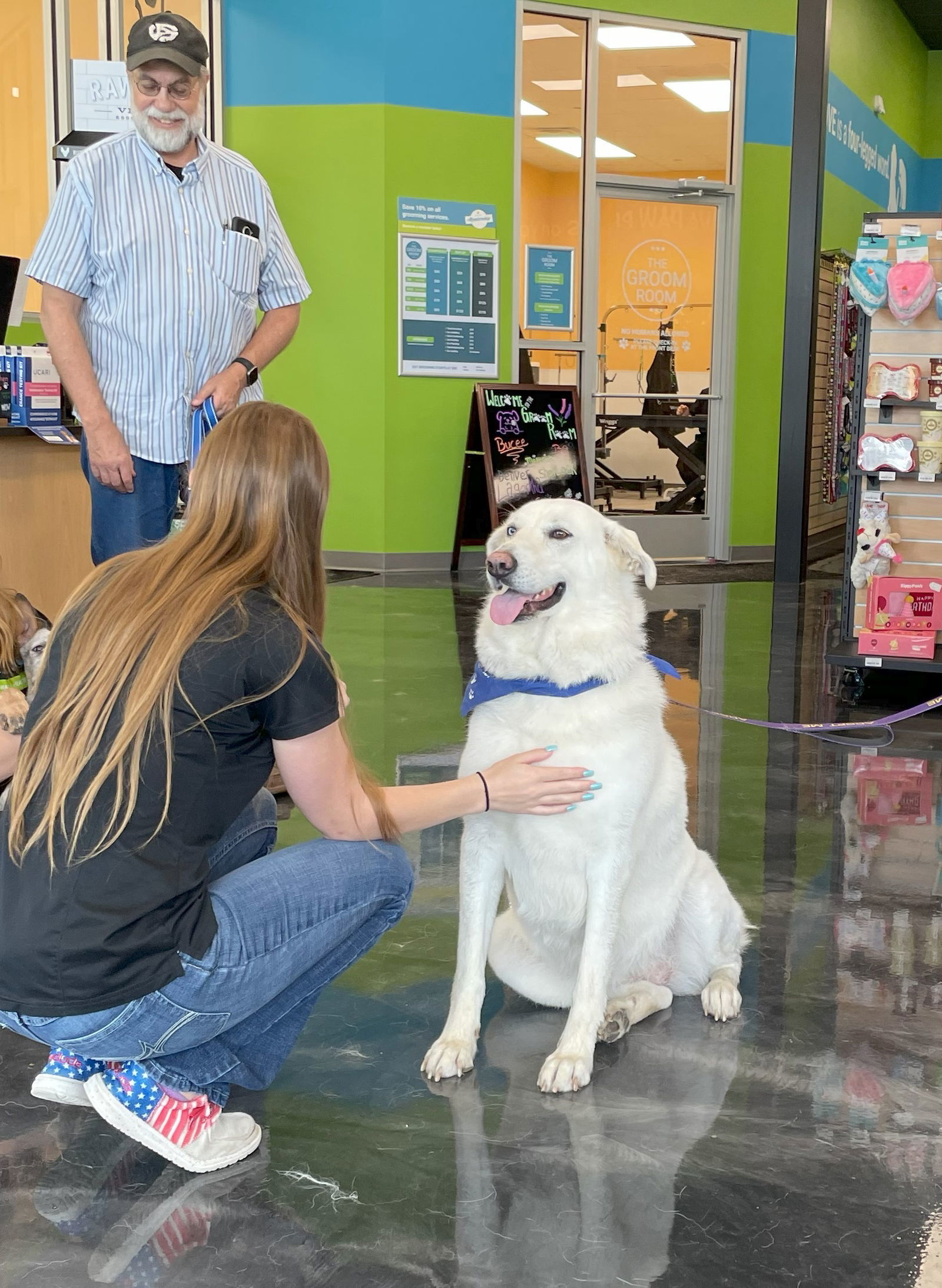 Genny, an adoptable Akbash, Siberian Husky in Whitewright, TX, 75491 | Photo Image 2