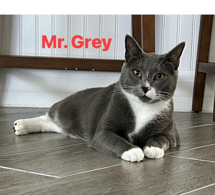 Mr. Grey 2