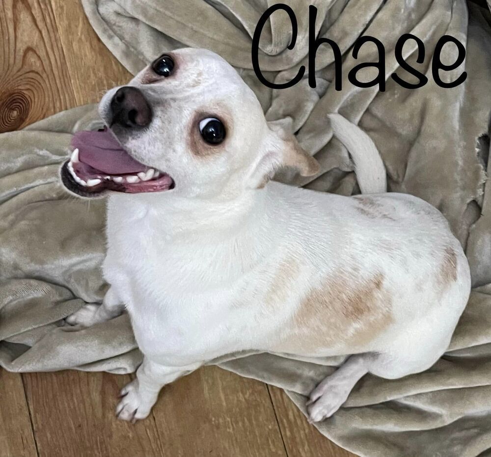 Chase detail page