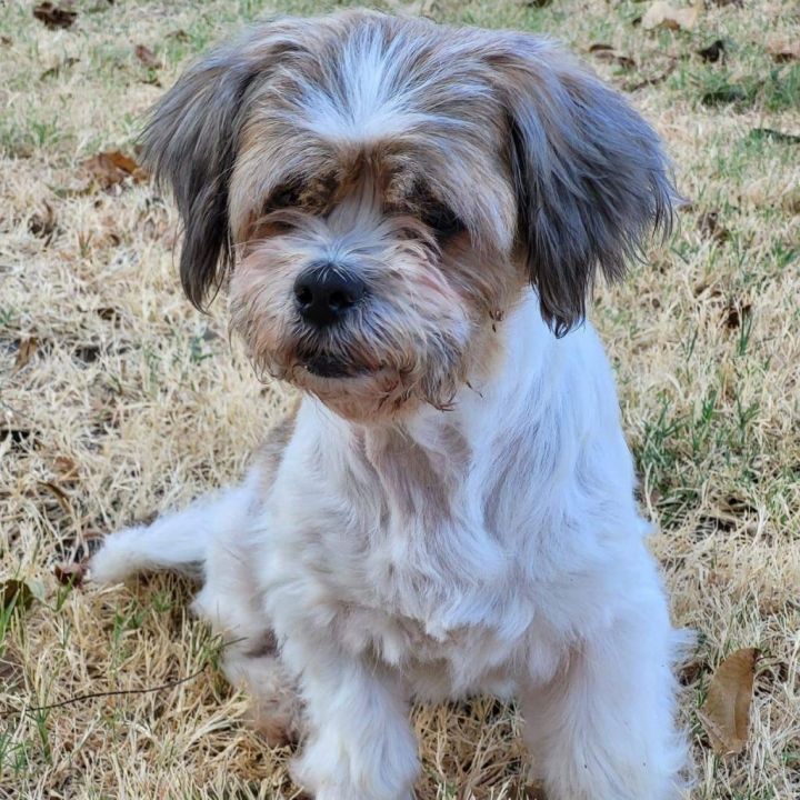 Rosie Cherry (Dallas) 6