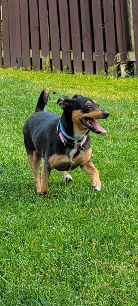LuLu