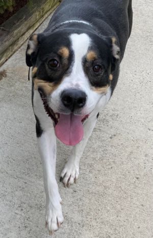 Roscoe