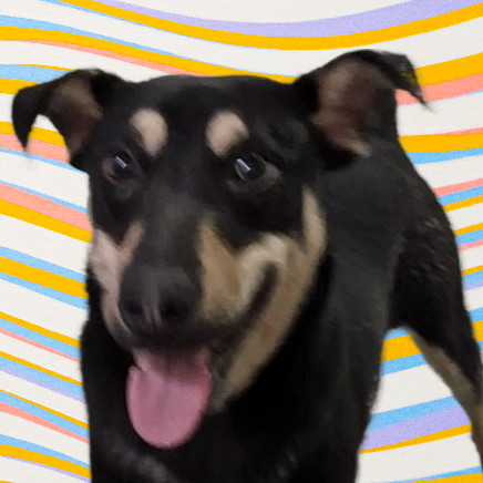 Simon