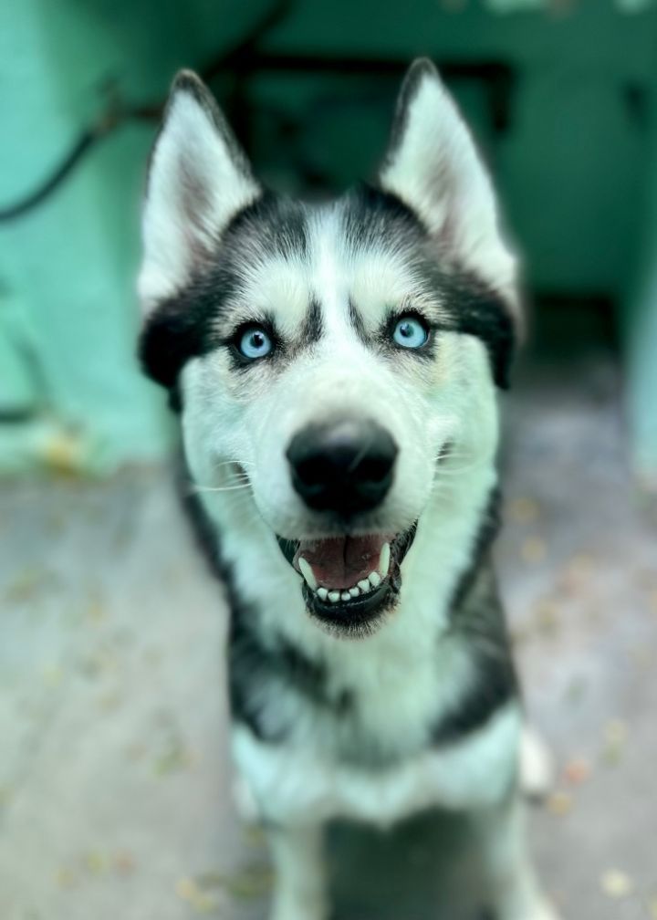 Jude 3
