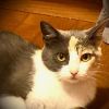Daisy