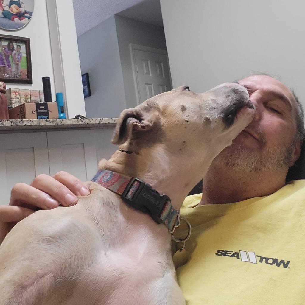 Casey, an adoptable Mixed Breed in Savannah, GA, 31406 | Photo Image 4