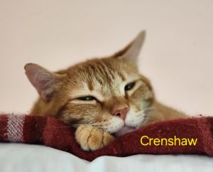 Crenshaw