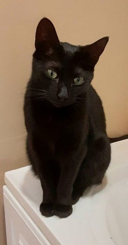 RIPLEY, Young Female unknown