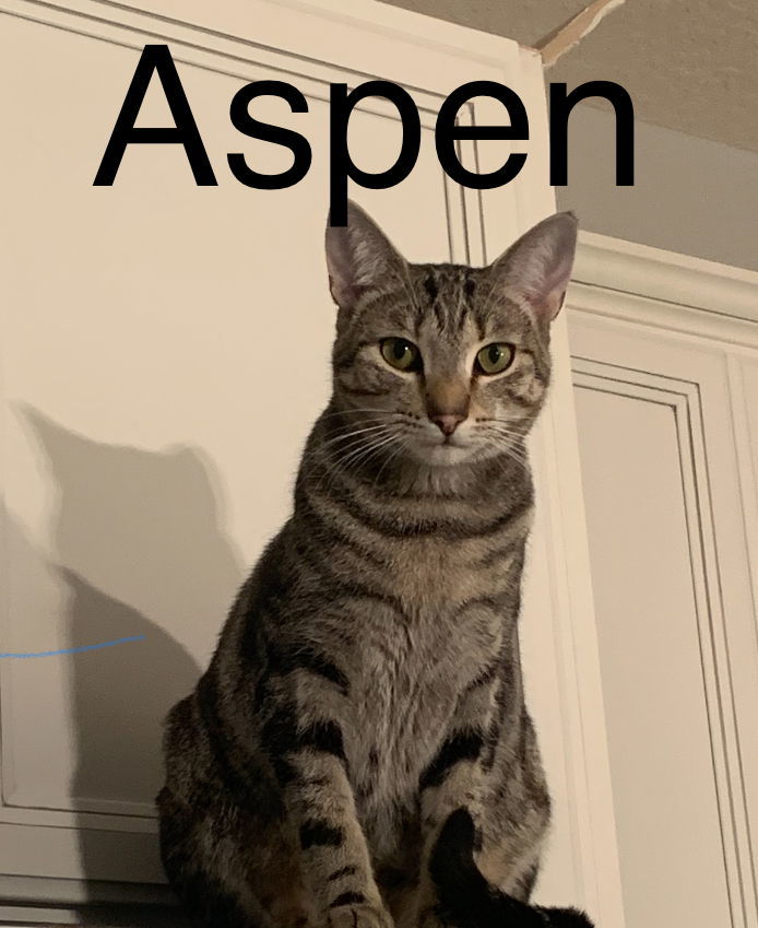 Aspen