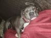 Nala photo 1