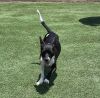 Bessie photo 2