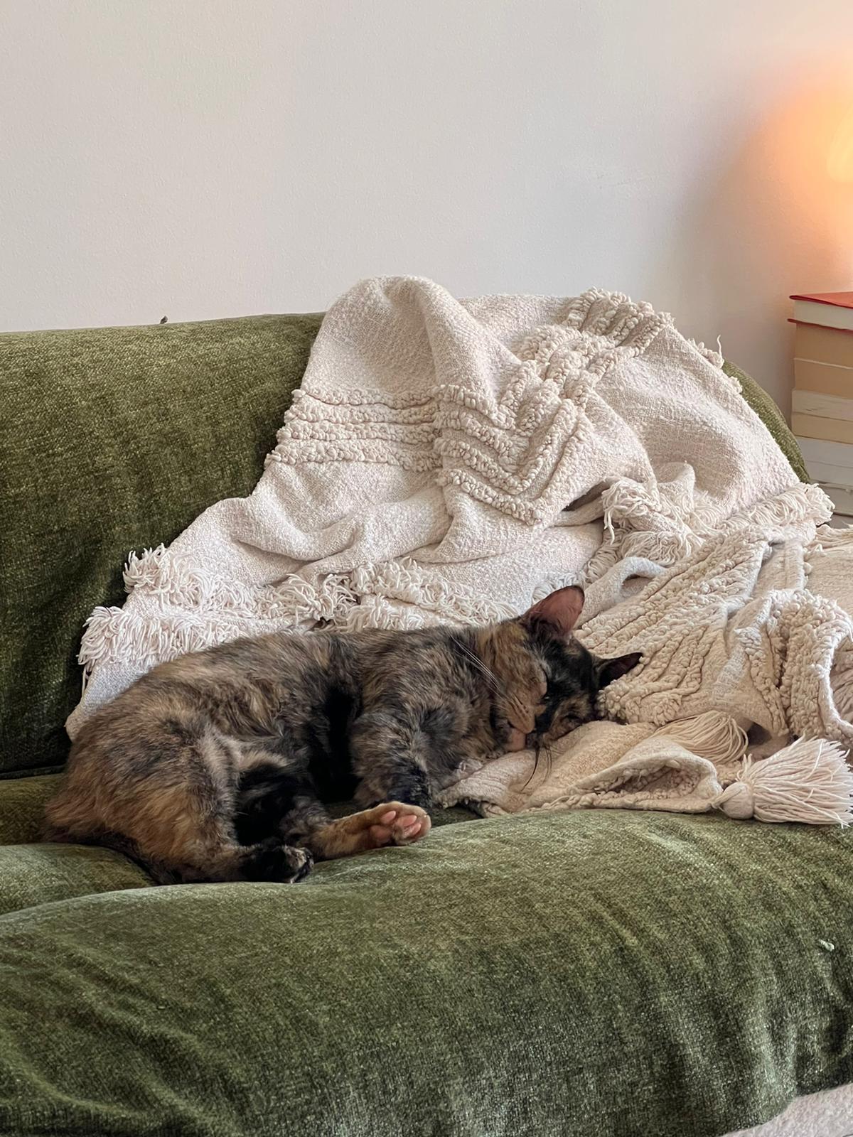 Frida Catlo
