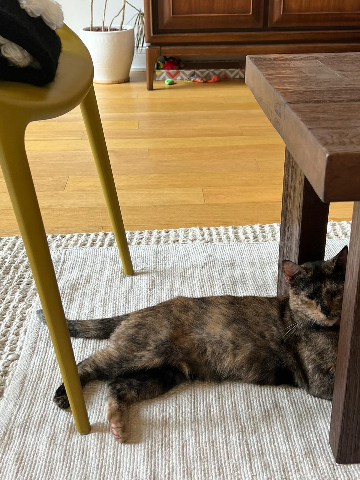 Frida Catlo