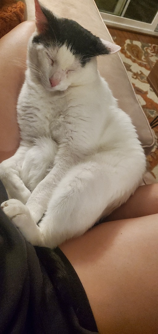 Moe 3