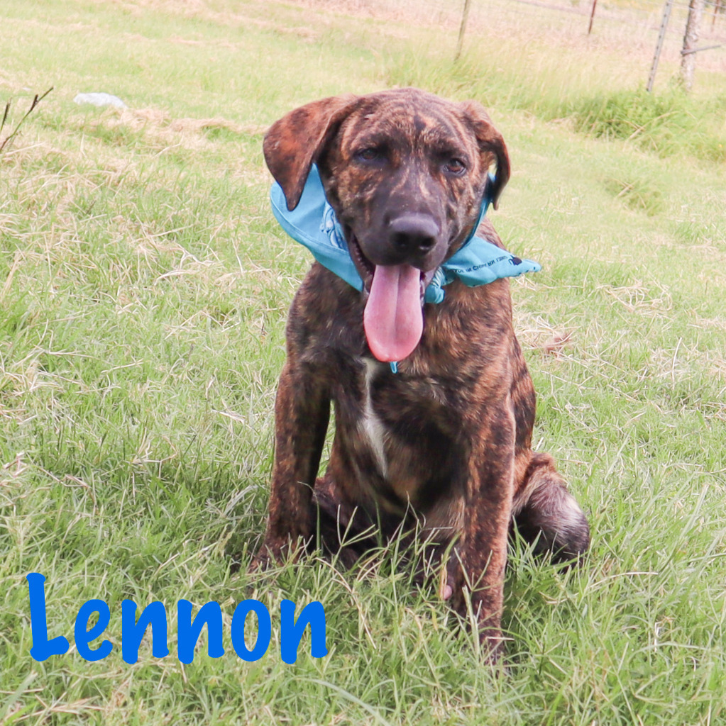 LENNON